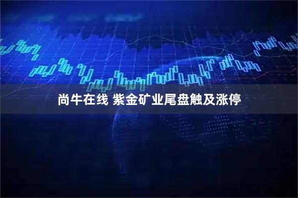 尚牛在线 紫金矿业尾盘触及涨停